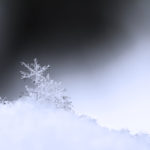 snowflakes